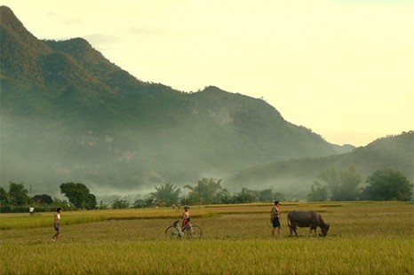 Tour Du Lịch Hà Nội Mai Châu 1 Ngày